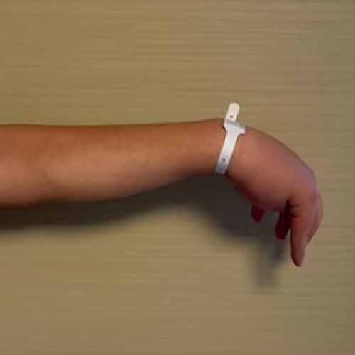 Tendon Transferleri